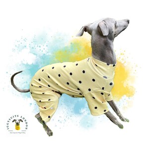 Bongoof Coolpace T: Summer T Shirt for Italian Greyhound Cooling / Sun  Protection / Fast Dry 