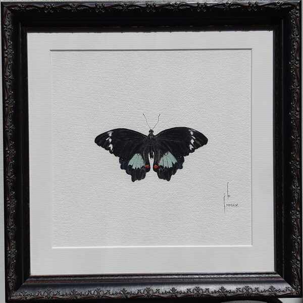 Painting Butterfly - Etsy