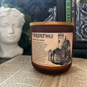 Eternal Slumber Soy Wax Candle | Glass Amber Jar | Abandoned Castle, Chamomile Scented Candle | Dark Academia | Wood Wick |Fantasy Horror