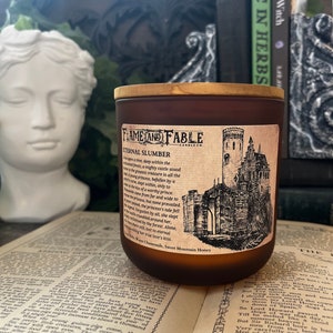 Eternal Slumber Soy Wax Candle Glass Amber Jar Abandoned Castle, Chamomile Scented Candle Dark Academia Wood Wick Fantasy Horror image 1