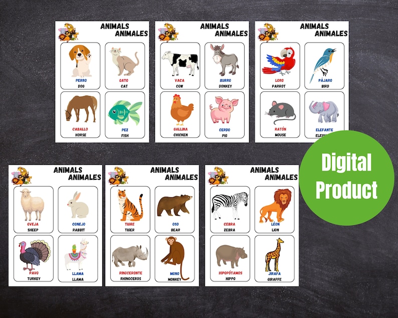 Spanish Animal Names Learning For Kids Beginner Spanish Pintables 24 spanish-animal-names-learning-for-kids-beginner-spanish-pintables-24