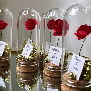 Beauty and the Beast Mini Glass Wedding Favors for Guests, Wedding ...