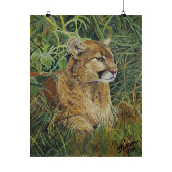 Florida Panther Colored Pencil Print on Matt Archive Paper Support Endangered Wildlife