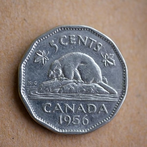 May include: A silver Canadian 5-cent coin featuring a beaver on a rock with the year 1956.