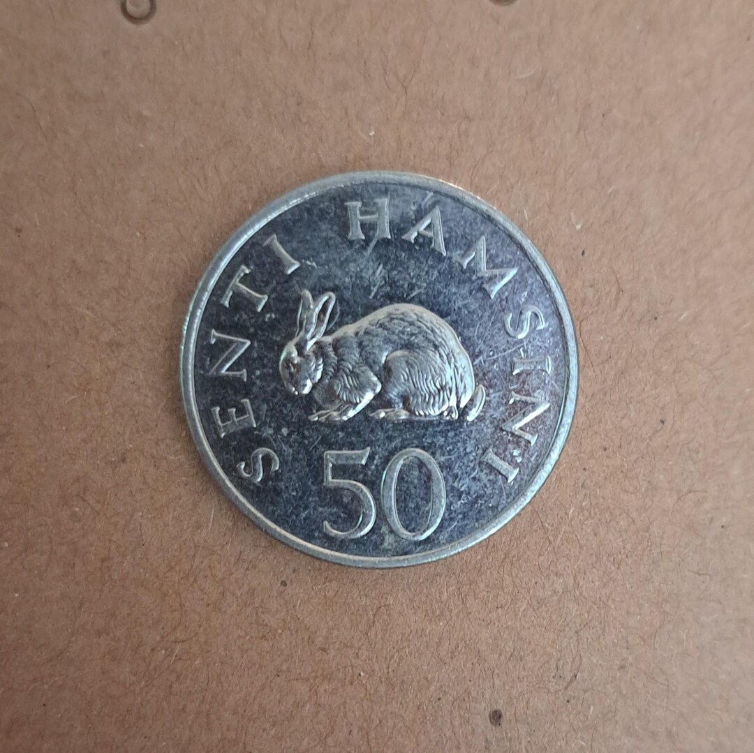 Tanzania Rabbit Coin Pin: African Wildlife Lapel Brooch - Etsy