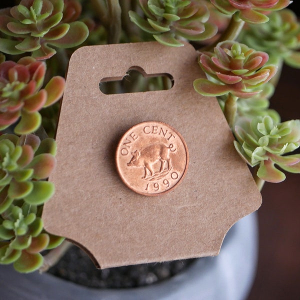 Pig Penny Pin, Bermuda Boar Coin Pin, Foreign Coin Pin, Collectable Pins, Animal Pins, Farm Pins, Cute Pig Pin, Animal Pins for Teens