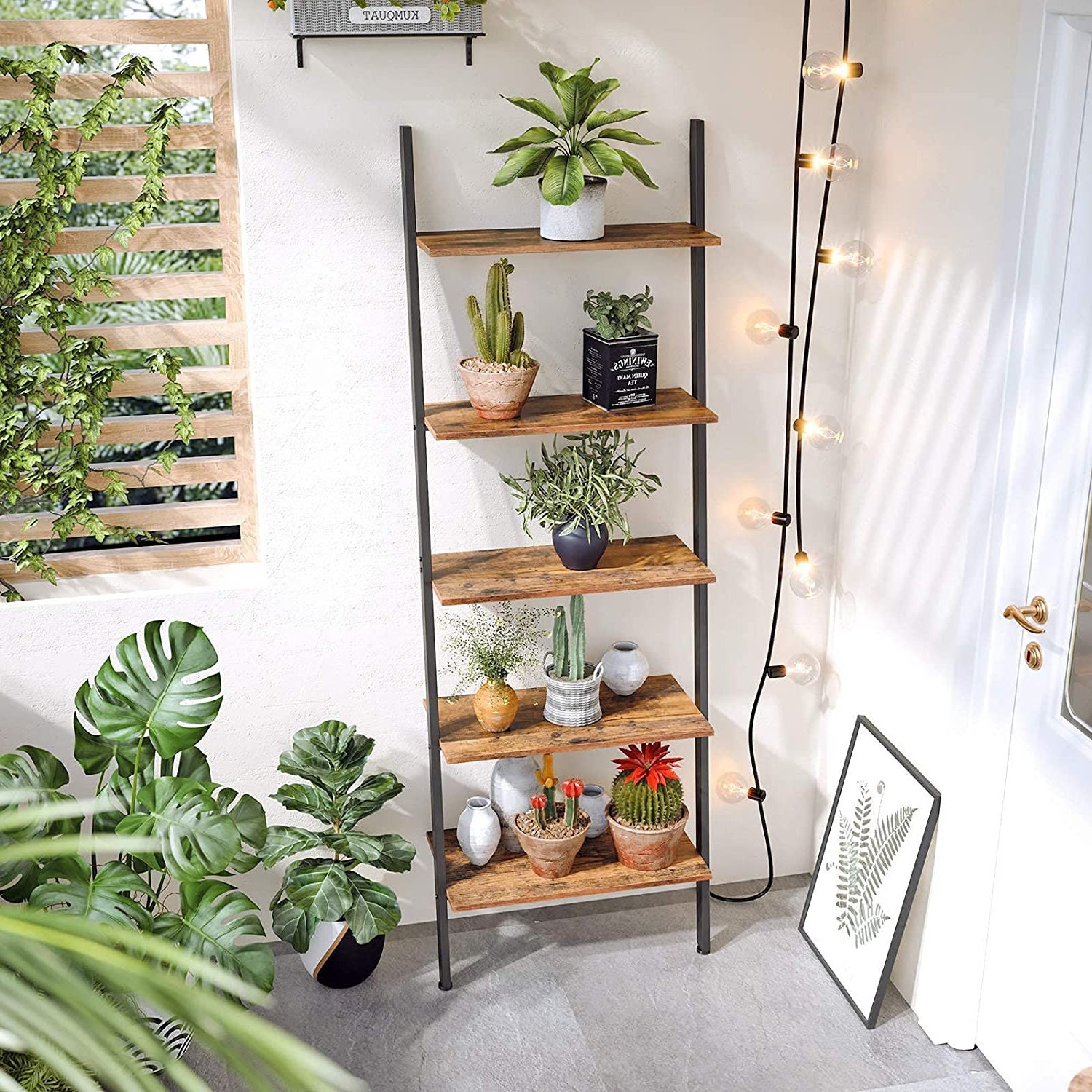 Cypress Shop Bookcase Bookshelf Leaning Shelf Rack Ladder Style 4 Tier