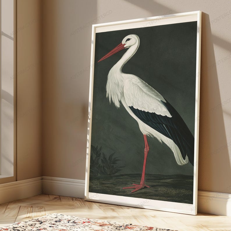 May include: A framed vertical wall art print featuring a detailed illustration of a white stork with black wing feathers, a long red beak, and long red legs. The bird stands on a dark, muted ground against a dark, solid charcoal background.