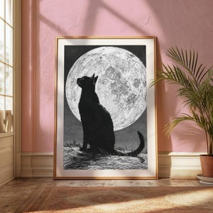 May include: A framed wall art print featuring a black cat silhouette sitting in profile against a large, textured white full moon. The background is a dark, starry night sky, and the cat is positioned on a textured, grassy ground surface.