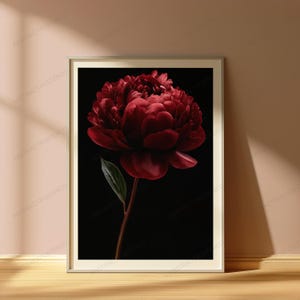 Red Peony Flower Botanical Print | Dark Moody Floral Wall Art | Luxury Home Decor image 5