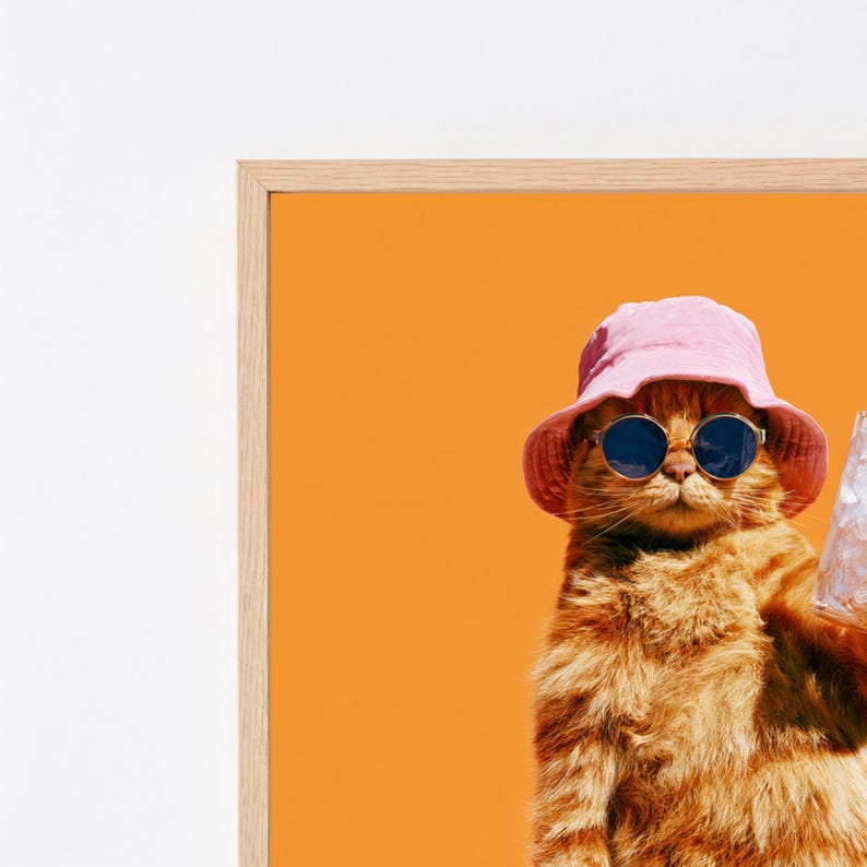 May include: A ginger cat wearing a pink bucket hat and round dark-tinted sunglasses against a solid orange background. The cat is positioned within a light-colored wooden frame, displaying its fur texture and facial features clearly in the sunlight.