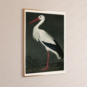May include: A framed vertical wall art print featuring a white stork with black wing feathers, a long red beak, and red legs. The bird stands on a dark, textured ground against a dark, muted green background, enclosed in a thin gold frame.