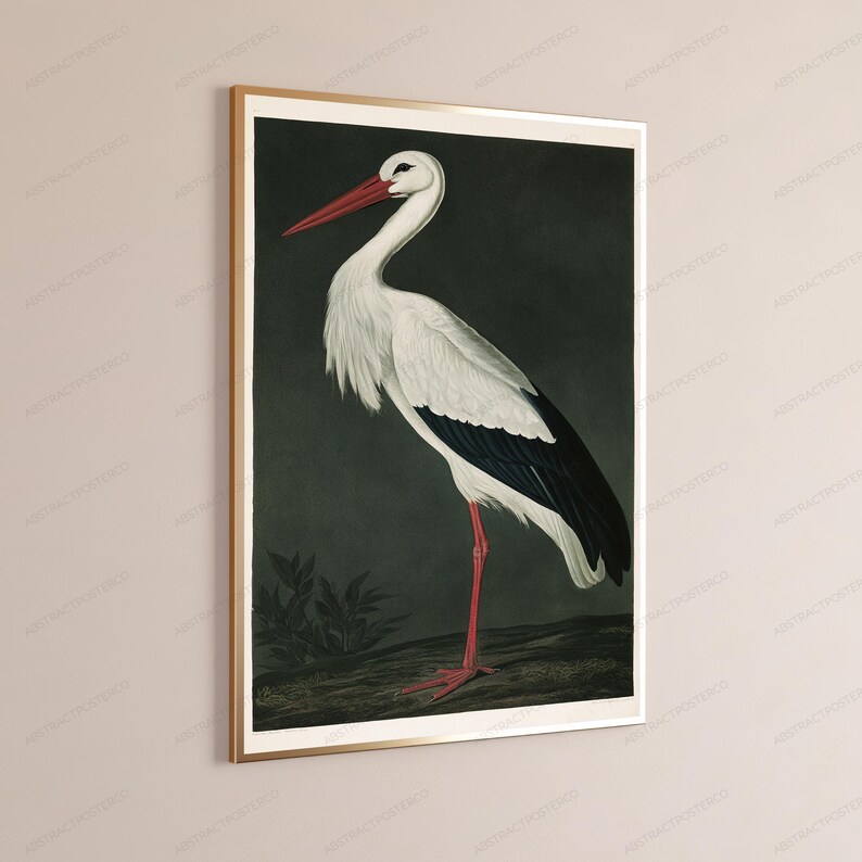May include: A framed vertical wall art print featuring a white stork with black wing feathers, a long red beak, and red legs. The bird stands on a dark, textured ground against a dark, muted green background, enclosed in a thin gold frame.