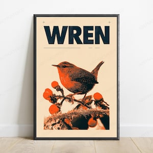 Rotkehlchen mit Ebereschenbeeren – Kunstdruck | Vintage-Naturillustration | Wandbild mit Wildtiermotiv Bild 1