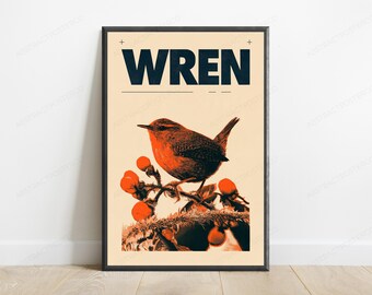 Orange Robin with Rowan Berries Print | Vintage Nature Illustration | Wildlife Wall Art