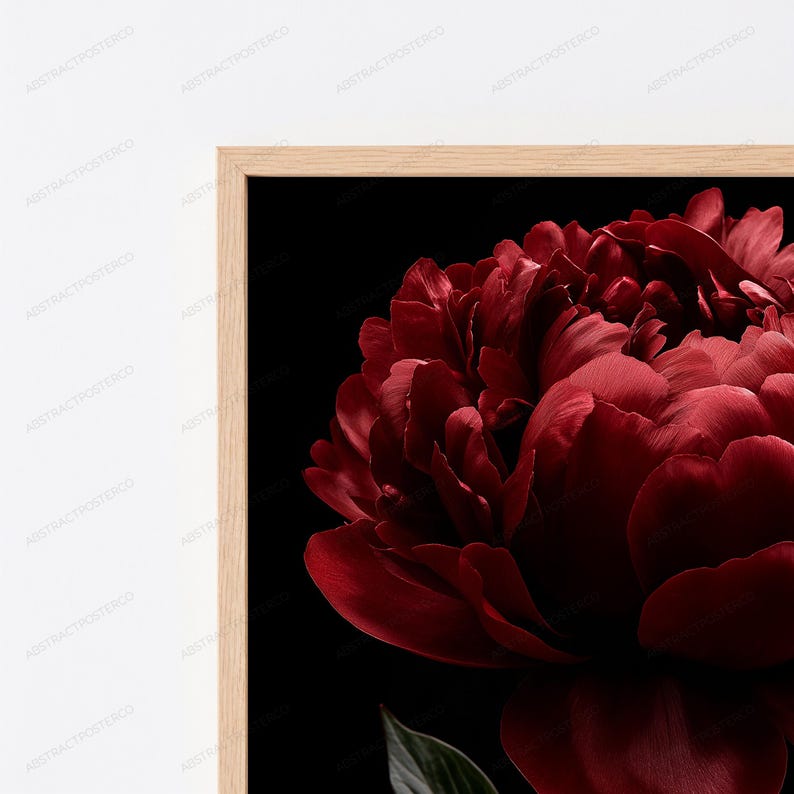 Red Peony Flower Botanical Print | Dark Moody Floral Wall Art | Luxury Home Decor image 2