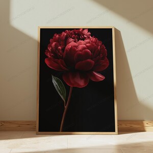 Red Peony Flower Botanical Print | Dark Moody Floral Wall Art | Luxury Home Decor image 4