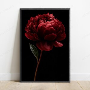 Red Peony Flower Botanical Print | Dark Moody Floral Wall Art | Luxury Home Decor image 1
