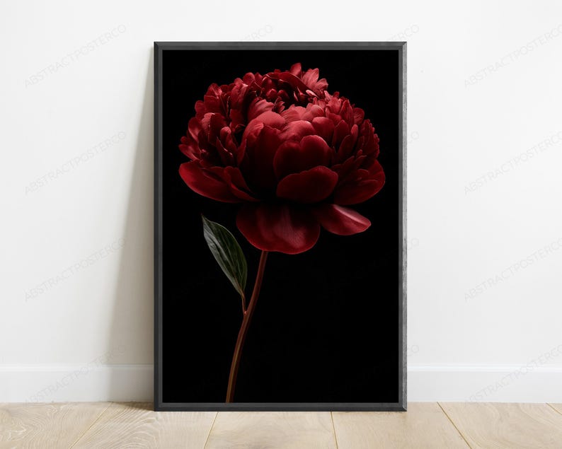 Red Peony Flower Botanical Print | Dark Moody Floral Wall Art | Luxury Home Decor image 1