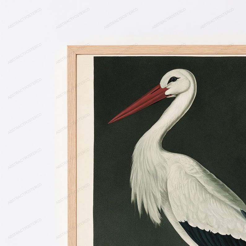 May include: A framed wall art print featuring a white stork with a long, pointed red beak and black wing feathers set against a solid dark background. The artwork is encased in a light-toned wooden frame with a clean, simple profile.