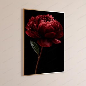 Red Peony Flower Botanical Print | Dark Moody Floral Wall Art | Luxury Home Decor image 3