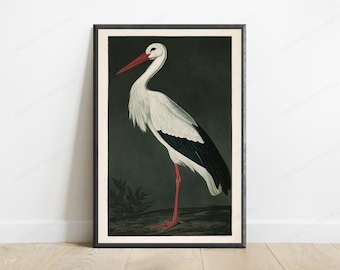 White Stork with Red Beak Legs | Minimalist Bird Art Print | Wildlife Home Decor | Digital Download A3 A2 A1