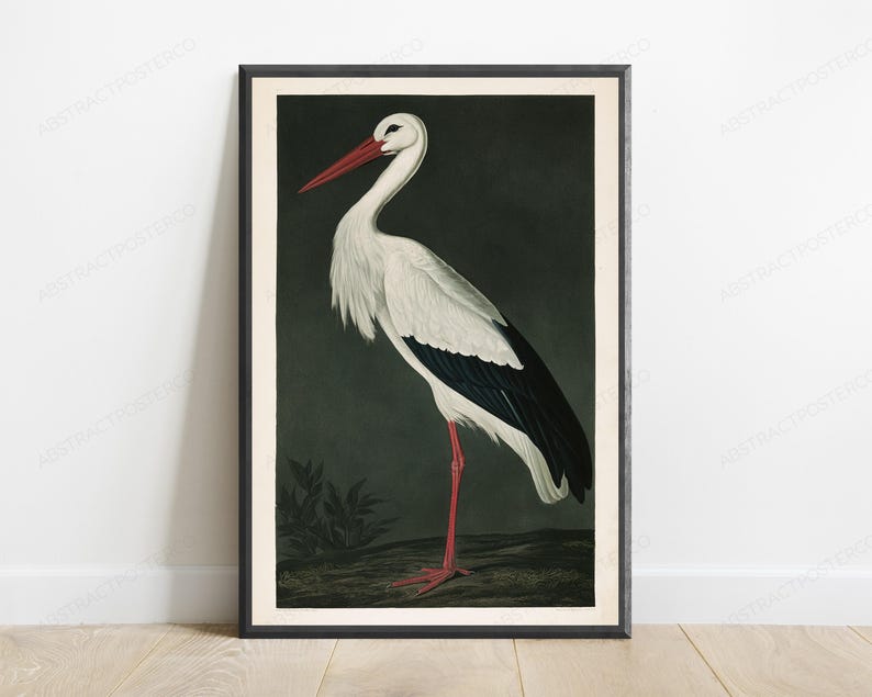 May include: A framed wall art print featuring a detailed illustration of a white stork with black wing feathers and a long red beak. The bird stands on dark ground against a dark, muted background. The print is enclosed in a thin black frame.