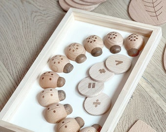 Counting Lady Bugs - Intro to Math - Learning Numbers and Values