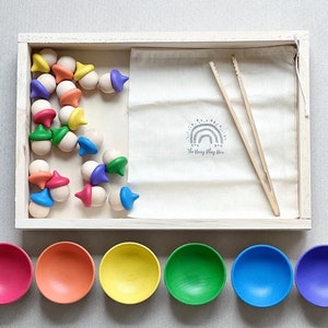 Rainbow Acorn Sorting Set -Montessori- Hand painted