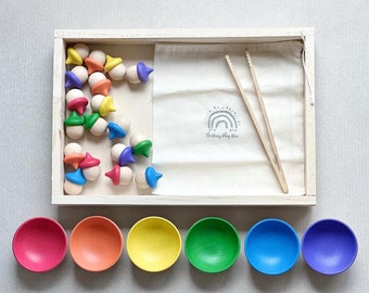 Rainbow Acorn Sorting Set -Montessori- Hand painted