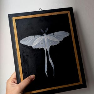 Dipinto a olio con Farfalle - Arte Realistica con Cornice a trompe-l'oeil - Tela dipinta - Finta Teca di Entomologia