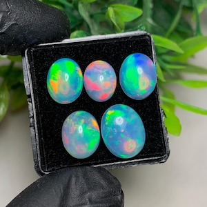 Puede incluir: Cinco ópalos ovalados presentados en una caja negra. Los ópalos tienen un color base blanco lechoso con destellos vibrantes de verde, azul, naranja y rosa. Los ópalos se colocan sobre un fondo oscuro, resaltando sus colores iridiscentes.