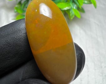 May include: An oval gemstone with a polished surface. The top half is a vibrant orange, transitioning to a warm brown at the bottom. The stone is held by a black gloved hand, with green foliage in the background.
