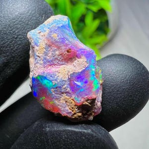 May include: A raw, unpolished opal gemstone displaying vibrant flashes of iridescent blue, purple, green, and red colors across its textured, irregular surface. The stone features patches of earthy, tan-colored matrix embedded within the mineral.