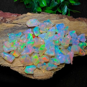 Op de afbeelding: Een verzameling ruwe, iriserende opalen. De opalen vertonen een reeks kleuren, waaronder blauw, groen en oranje, met een melkachtige witte basis. De edelstenen zijn verspreid op een stuk verweerd hout, met groene bladeren op de achtergrond.