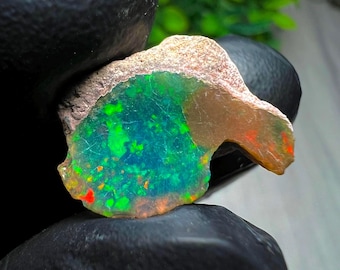 Puede incluir: Una vibrante gema de ópalo en bruto con una llamativa exhibición de color. El ópalo presenta una mezcla de tonos verdes, azules y rojos, sobre una matriz marrón claro. La gema tiene forma irregular, mostrando su forma natural.
