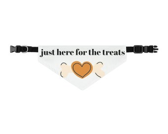 just here for the treats, Pet Bandana Collar