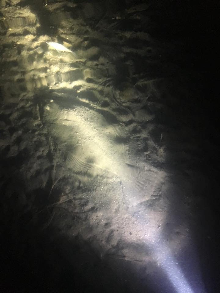 Fishstik Flounder Gigging Led Light Etsy