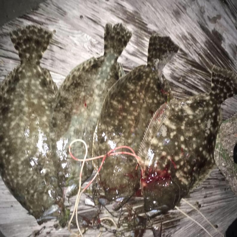 Fishstik Flounder Gigging Led Light Etsy