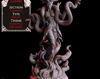May include: A gray, detailed figurine of a female figure with snakes entwined around her. The figure is a druid from the Haunted Orchard theme, with the text "Jarna, Circle of Putrefaction Druid" at the bottom. The text also includes "32mm" and other descriptive terms.