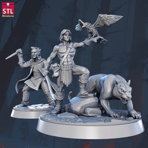 May include: A collection of gray miniature figurines depicting fantasy characters. One figure holds a staff, another stands with an eagle, and a third is posed with a large cat. The base of each figure is round, and the logo "STL Miniatures" is in the upper left corner.