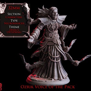 May include: A detailed 32mm miniature of Ozrik, Voice of the Pack, a Necromancer from the Devil's Offspring theme. The figure is gray, with long hair, ornate clothing, and bat-like wings. The base is round, and the figure is posed with arms outstretched.