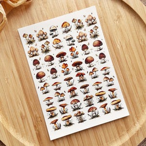 May include: A sheet of stickers featuring a variety of illustrated mushrooms in shades of brown, orange, and white. The mushrooms are depicted in various sizes and shapes, with some having white spots.