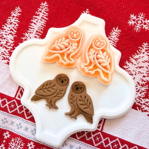 May include: A white, decorative, ceramic plate holds two brown owl-shaped cookies and two orange owl-shaped cookie cutters. The cookies and cutters have leaf and branch details. The plate sits on a red and white patterned surface.