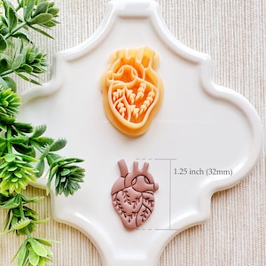 Floral Anatomical Heart Clay Cutter, Embossing Mystical Polymer Clay Cutter, Detailed Embossing Witchy Cutter for Clay image 3