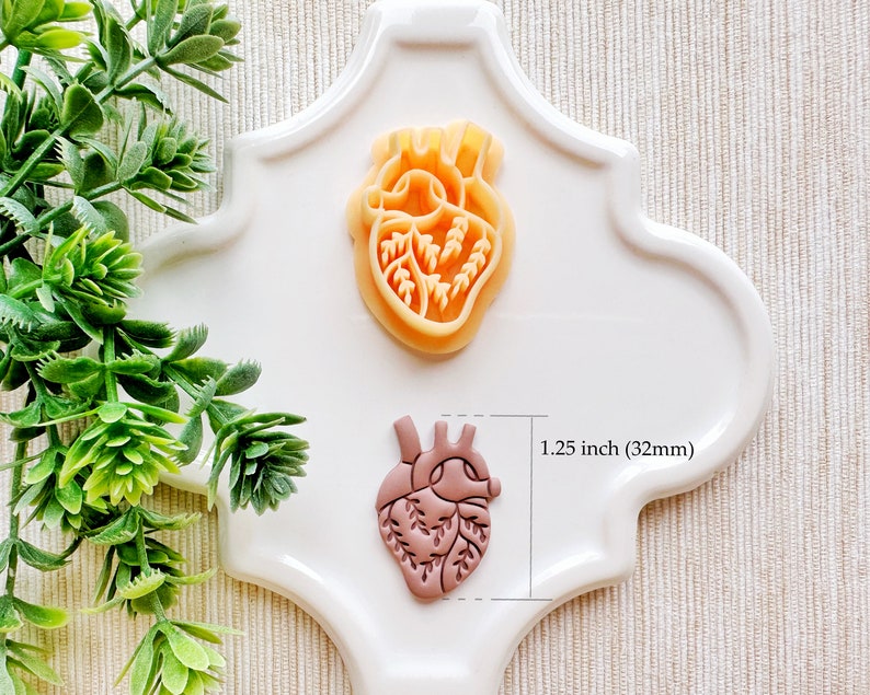 Floral Anatomical Heart Clay Cutter, Embossing Mystical Polymer Clay Cutter, Detailed Embossing Witchy Cutter for Clay image 3