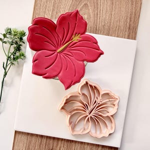May include: A vibrant red hibiscus flower cookie and a matching cookie cutter. The cookie has detailed petal lines and a yellow center. The cutter is a light pink, showing the flower's intricate design. The items are on a white surface.