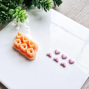 Può includere: Un piatto bianco con un mucchio di pasta a forma di cuore e una spolverata di cuori rosa.