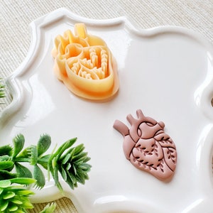 Floral Anatomical Heart Clay Cutter, Embossing Mystical Polymer Clay Cutter, Detailed Embossing Witchy Cutter for Clay image 2