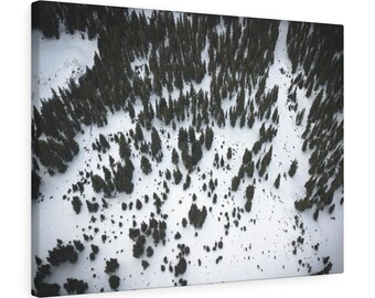 Loveland Pass Colorado Winter Trees Aerial Canvas Wall Art